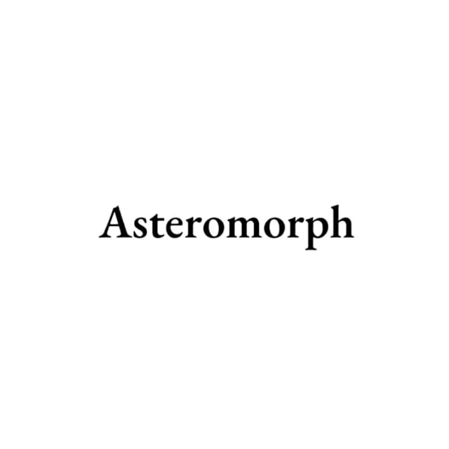 Asteromorph